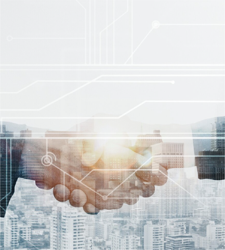 Consultora Técnica
